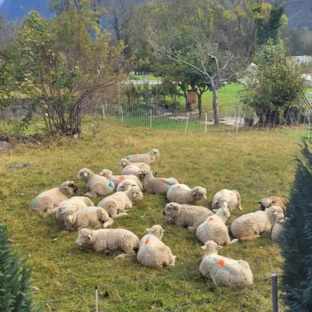 Casa Oliver, Tra La Calanca E I Castelli Di Bellinzona Quarto em Acomodações Particulares
