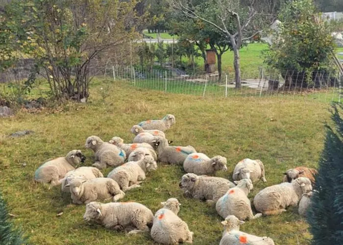 Casa Oliver, Tra La Calanca E I Castelli Di Bellinzona Privatunterkunft